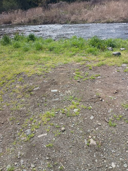 もう夏？の夜勤明けキャンプ 角田大橋河川敷 ソロキャンプ フリーサイト ウエィダーさんのキャンプブログ CAMPiii（キャンピー） -キャンプ専用SNS キャンプのすべてがここに集まる-