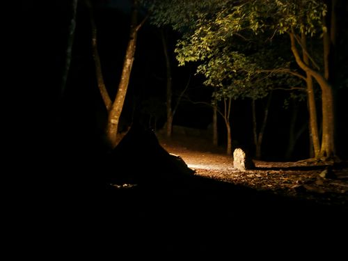 自分史上最重量級キャンプ。 兵庫県 ソロキャンプ フリーサイト ぞのさんさんのキャンプブログ CAMPiii（キャンピー） -キャンプ専用SNS キャンプのすべてがここに集まる-