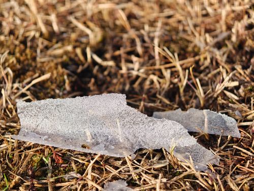 シンシンとした雪の後はニンニンと&hellip; やぶっちゃキャンプ場 ソロキャンプ グループキャンプ オートサイト ぞのさんさんのキャンプブログ CAMPiii（キャンピー） -キャンプ専用SNS キャンプのすべてがここに集まる-