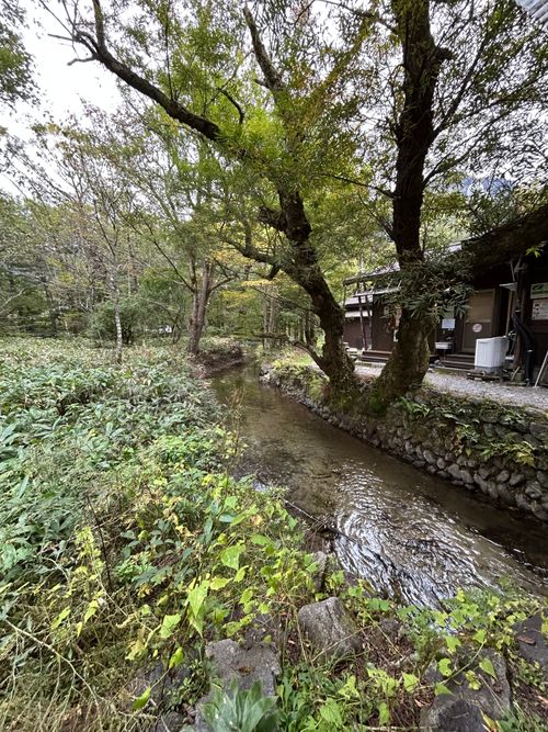 満身創痍のつづき🥹 上高地森のリゾート小梨 ソロキャンプ グループキャンプ フリーサイト Genさんのキャンプブログ CAMPiii（キャンピー） -キャンプ専用SNS キャンプのすべてがここに集まる-