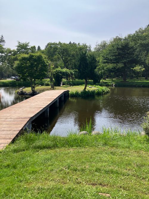 やっぱりキャンプは楽しい！ 長万部公園(キャンプ場) ソロキャンプ フリーサイト siroさんのキャンプブログ CAMPiii（キャンピー） -キャンプ専用SNS キャンプのすべてがここに集まる-