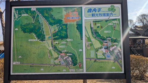 しかのこかのつのだいらんらん🫎 鹿角平観光牧場キャンプ場 グループキャンプ フリーサイト GSUS（ゲスース）さんのキャンプブログ CAMPiii（キャンピー） -キャンプ専用SNS キャンプのすべてがここに集まる-