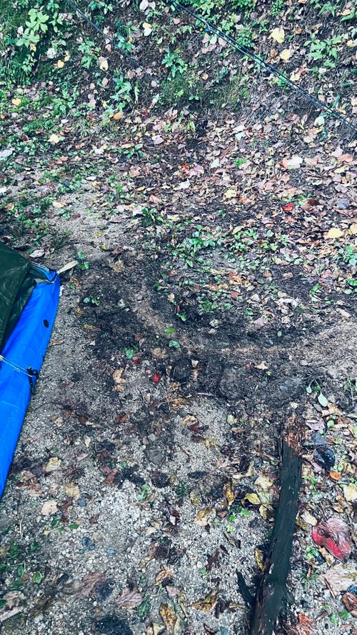 キャンプ梯子の旅② ふるさと村自然園 せいなの森キャンプ場 ソロキャンプ 区画サイト KABUTOさんのキャンプブログ CAMPiii(キャンピー) -キャンプ専用SNS キャンプのすべてがここに集まる-