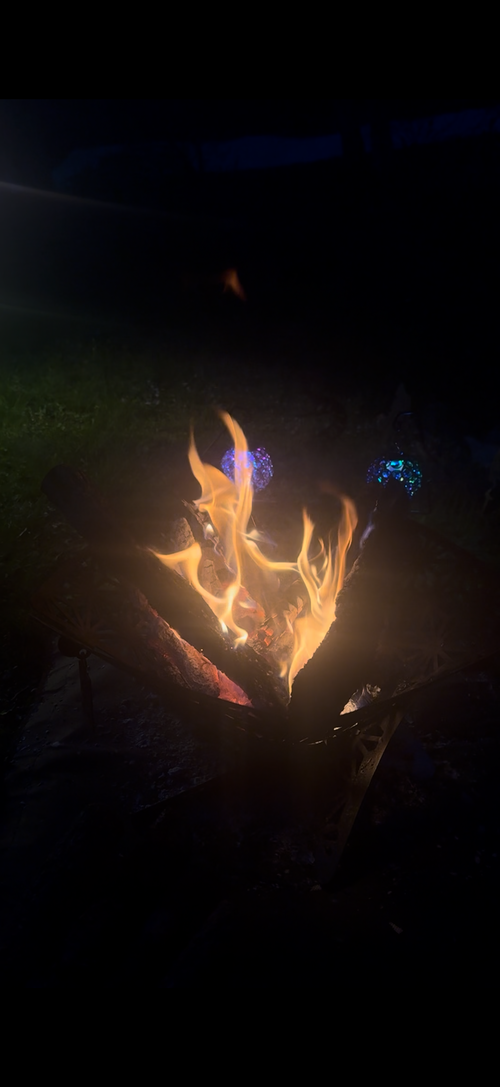 テント泊は久しぶり😁 山鳥の森オートキャンプ場 ファミリーキャンプ 区画サイト オートサイト moreAiさんのキャンプブログ CAMPiii（キャンピー） -キャンプ専用SNS キャンプのすべてがここに集まる-