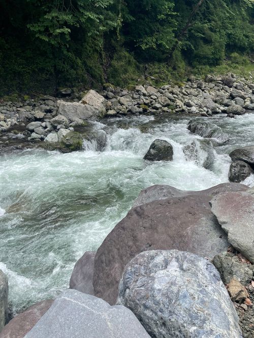 全力中年、ふたたび 大渡キャンプ場 グループキャンプ 区画サイト もるがんさんのキャンプブログ CAMPiii（キャンピー） -キャンプ専用SNS キャンプのすべてがここに集まる-