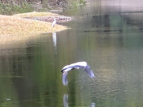 メッタメタにしてやんよ！ 知明湖キャンプ場 ソロキャンプ フリーサイト ぞのさんさんのキャンプブログ CAMPiii（キャンピー） -キャンプ専用SNS キャンプのすべてがここに集まる-