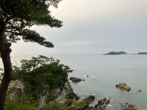2026年2回目 休暇村気仙沼大島 ソロキャンプ フリーサイト はいはいさんのキャンプブログ CAMPiii（キャンピー） -キャンプ専用SNS キャンプのすべてがここに集まる-