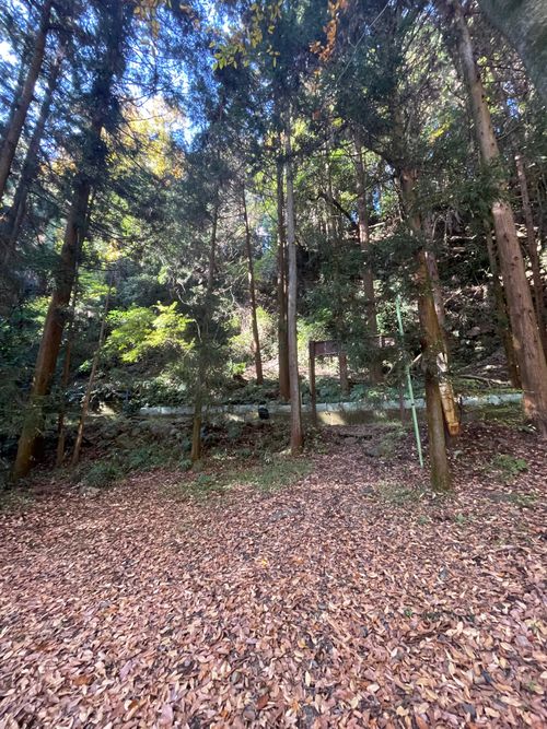 2年ぶりに滝沢園へ！友人とのデュオキャンプ 滝沢園キャンプ場 ソロキャンプ グループキャンプ フリーサイト ma9さんのキャンプブログ CAMPiii（キャンピー） -キャンプ専用SNS キャンプのすべてがここに集まる-