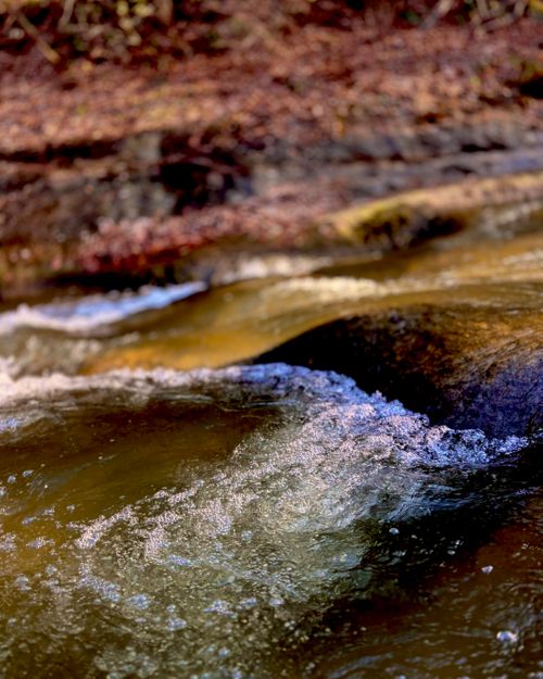 自然と一体！サウナと小川で「ととのう」贅沢時間 OUSE Camp＆Sauna TUULI（トゥーリ） Oniyomeさんのキャンプブログ CAMPiii（キャンピー） -キャンプ専用SNS キャンプのすべてがここに集まる-