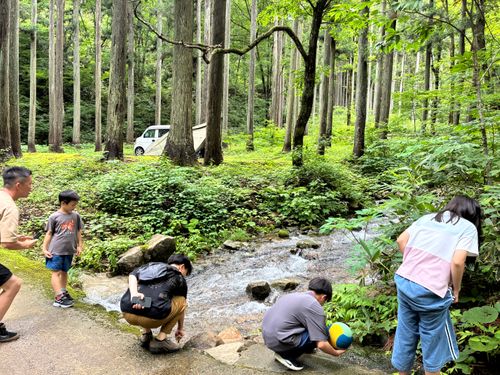初夏の高原キャンプが快適すぎた！ ひるがの高原キャンプ場 グループキャンプ 区画サイト だっちーさんのキャンプブログ CAMPiii（キャンピー） -キャンプ専用SNS キャンプのすべてがここに集まる-