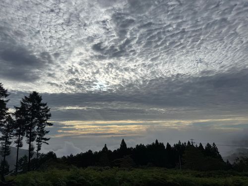 TENKU CAMP BASE 奥武蔵 TENKU CAMP BASE 奥武蔵 ソロキャンプ 区画サイト オートサイト かとかとさんのキャンプブログ CAMPiii（キャンピー） -キャンプ専用SNS キャンプのすべてがここに集まる-