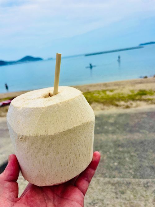 夏の海で秋穂の特産品を堪能する旨いものおじキャン△ in 美濃ヶ浜海浜公園 〜 CAMP NO.205 美濃ケ浜海浜広場 ソロキャンプ フリーサイト おじキャン△さんのキャンプブログ CAMPiii（キャンピー） -キャンプ専用SNS キャンプのすべてがここに集まる-