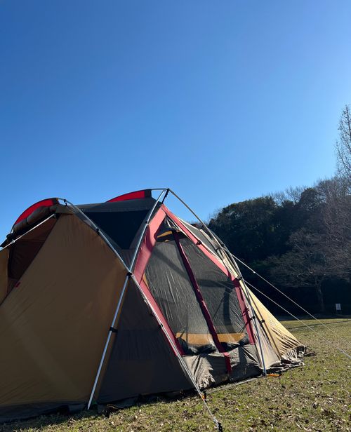 急遽開催キャンプ納め🏕️ メタセコイア広場 ファミリーキャンプ フリーサイト 庭キャン+さんのキャンプブログ CAMPiii（キャンピー） -キャンプ専用SNS キャンプのすべてがここに集まる-