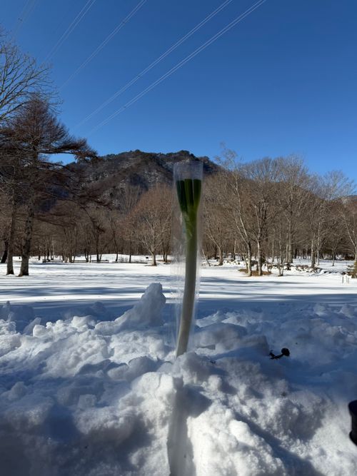 みちのく潮風トレイル３区間目キャンプ 神割崎キャンプ場 ソロキャンプ フリーサイト まっつんさんのキャンプブログ CAMPiii（キャンピー） -キャンプ専用SNS キャンプのすべてがここに集まる-