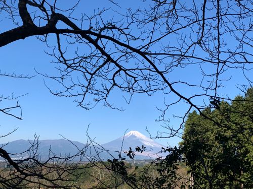 以前のキャンプで恐縮です。明日からのキャンプに向けて気分アゲ投稿 negura campground ソロキャンプ フリーサイト ASAPさんのキャンプブログ CAMPiii（キャンピー） -キャンプ専用SNS キャンプのすべてがここに集まる-