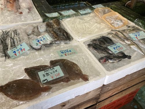 海辺で2泊😆 片添ケ浜オートキャンプ場 ファミリーキャンプ 区画サイト オートサイト masaさんのキャンプブログ CAMPiii（キャンピー） -キャンプ専用SNS キャンプのすべてがここに集まる-