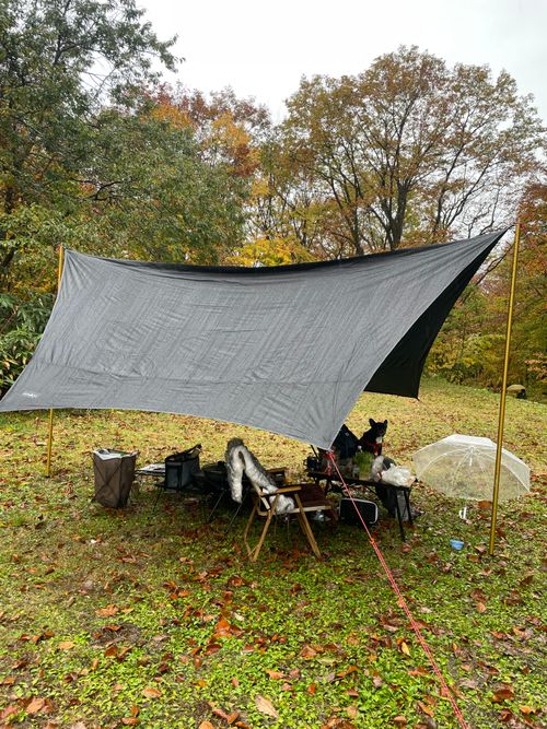 限りなく透明な空気を紅葉最盛期のブナの森で 休暇村乳頭温泉郷キャンプ場 ファミリーキャンプ フリーサイト ロコCamp0828さんのキャンプブログ CAMPiii（キャンピー） -キャンプ専用SNS キャンプのすべてがここに集まる-
