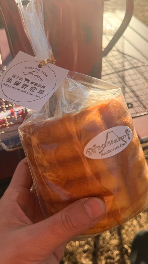 年末年始1週間 田貫湖キャンプ場 ファミリーキャンプ フリーサイト 出口 正行さんのキャンプブログ CAMPiii（キャンピー） -キャンプ専用SNS キャンプのすべてがここに集まる-