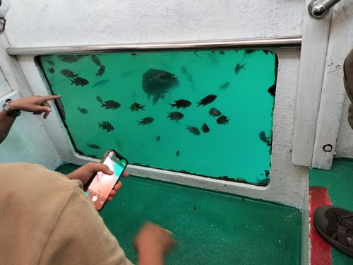 能登復興応援観光満喫キャンプ2泊目 九十九湾園地キャンプ場(ツクモワンエンチキャンプジョウ) ソロキャンプ グループキャンプ 区画サイト オートサイト たかたかぽんたさんのキャンプブログ CAMPiii（キャンピー） -キャンプ専用SNS キャンプのすべてがここに集まる-
