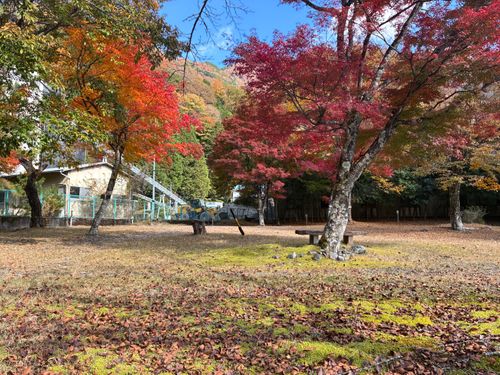 ソロキャンvol.6湯キャンプ 湯キャンプ ソロキャンプ 区画サイト 92さんのキャンプブログ CAMPiii（キャンピー） -キャンプ専用SNS キャンプのすべてがここに集まる-