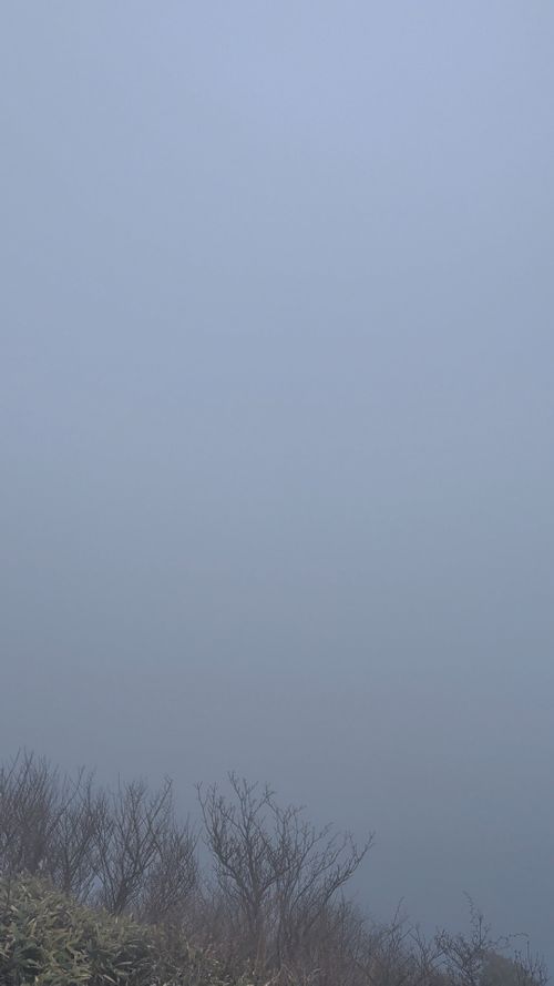 ハスラーが気になる(標高 約150m)(RVパーク(区画、電源付) 3000円)) RVパーク 七里川 ソロキャンプ グループキャンプ オートサイト 区画サイト IZUIZUさんのキャンプブログ CAMPiii（キャンピー） -キャンプ専用SNS キャンプのすべてがここに集まる-