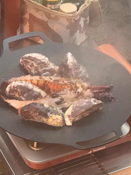 いい夫婦の日に2組でキャンプ 阿蘇レインボーバレー ファミリーキャンプ グループキャンプ 区画サイト オートサイト moreAiさんのキャンプブログ CAMPiii（キャンピー） -キャンプ専用SNS キャンプのすべてがここに集まる-