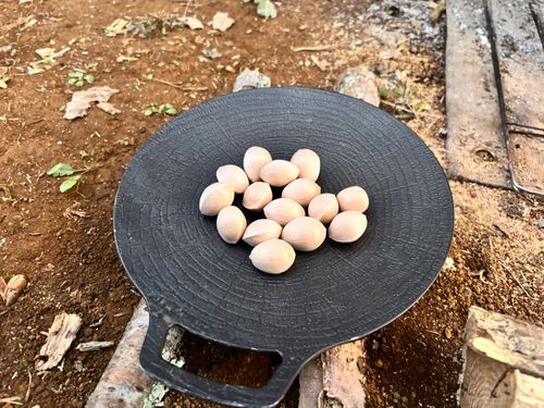 千葉キャン２泊３日　もみじロード HANABUSACAMP（ハナブサキャンプ〕 ソロキャンプ フリーサイト ASAPさんのキャンプブログ CAMPiii（キャンピー） -キャンプ専用SNS キャンプのすべてがここに集まる-