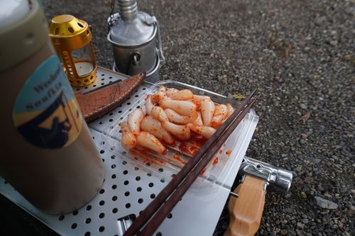 近場開拓ソロキャンツー 秋山川キャンプ場 ソロキャンプ 区画サイト 週末スナフキンさんのキャンプブログ CAMPiii（キャンピー） -キャンプ専用SNS キャンプのすべてがここに集まる-