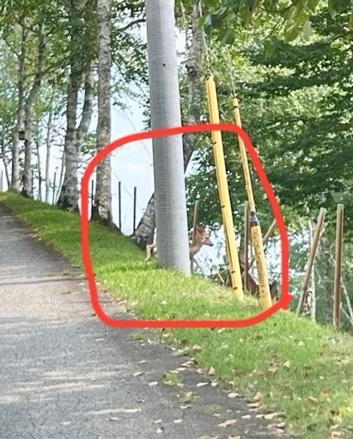 雲海が見れる人気キャンプ場で、完ソロ🏕️ みかぼ高原オートキャンプ場 ソロキャンプ 区画サイト オートサイト ぱぴさんのキャンプブログ CAMPiii(キャンピー) -キャンプ専用SNS キャンプのすべてがここに集まる-