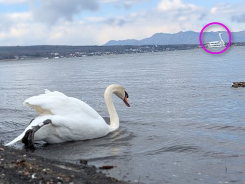 静寂な森のなかで(後篇) 小田急山中湖フォレストコテージ ファミリーキャンプ 好々爺🇯🇵さんのキャンプブログ CAMPiii（キャンピー） -キャンプ専用SNS キャンプのすべてがここに集まる-