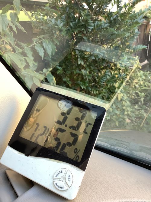 Vol.108 25/NO.27　いつもの場所にて‼️ 坂戸市 ソロキャンプ フリーサイト 🔥焚き火🔥さんのキャンプブログ CAMPiii（キャンピー） -キャンプ専用SNS キャンプのすべてがここに集まる-