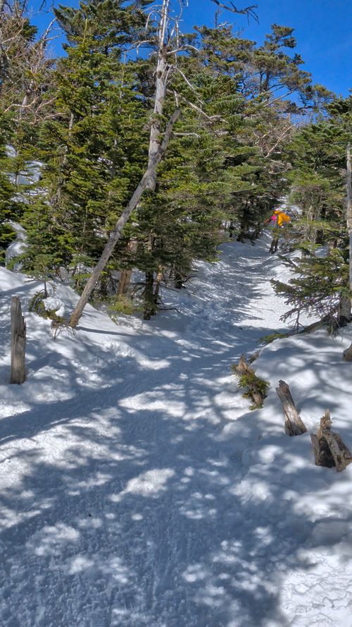 BONCHI 秩父市 グループキャンプ 区画サイト オートサイト IZUIZUさんのキャンプブログ CAMPiii（キャンピー） -キャンプ専用SNS キャンプのすべてがここに集まる-