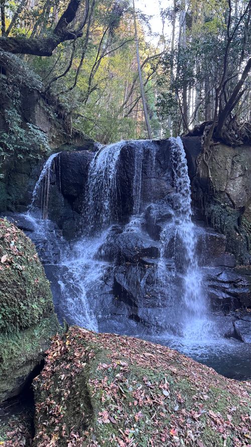 1122による紅葉キャンプ🍁 遊水峡 ファミリーキャンプ 区画サイト オートサイト はるかさんのキャンプブログ CAMPiii（キャンピー） -キャンプ専用SNS キャンプのすべてがここに集まる-