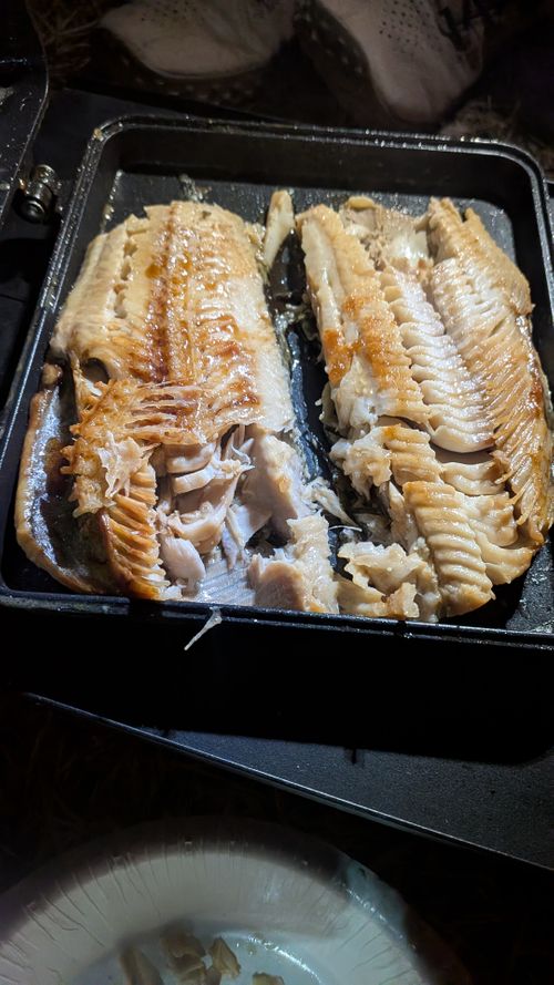 しかのこかのつのだいらんらん🫎 鹿角平観光牧場キャンプ場 グループキャンプ フリーサイト GSUS（ゲスース）さんのキャンプブログ CAMPiii（キャンピー） -キャンプ専用SNS キャンプのすべてがここに集まる-