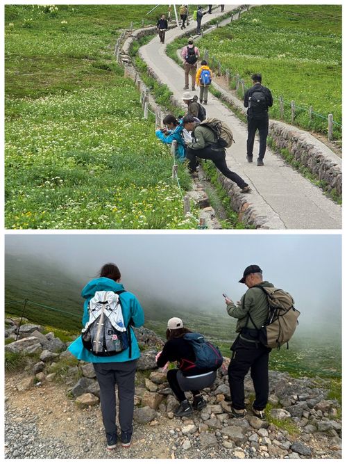 母子の夏休み大冒険🌻⛰️🥾 平湯キャンプ場 グループキャンプ はやぷささんのキャンプブログ CAMPiii（キャンピー） -キャンプ専用SNS キャンプのすべてがここに集まる-