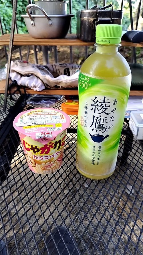 森林浴でボーっとするキャンプ うまみち森林公園 ソロキャンプ 区画サイト セツさんのキャンプブログ CAMPiii(キャンピー) -キャンプ専用SNS キャンプのすべてがここに集まる-