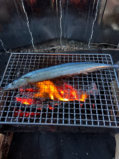 海辺で新米を愉しむキャンプ 丸山県民サンビーチ（キャンプ場） ソロキャンプ フリーサイト おくさんさんのキャンプブログ CAMPiii（キャンピー） -キャンプ専用SNS キャンプのすべてがここに集まる-