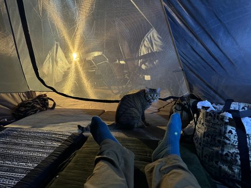 長瀞キャンプヴィレッジ 長瀞キャンプヴィレッジ ファミリーキャンプ 区画サイト 琥珀にゃんさんのキャンプブログ CAMPiii（キャンピー） -キャンプ専用SNS キャンプのすべてがここに集まる-