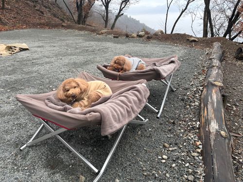 絶景と温泉と薪ストーブとわんこ♡ 未完の里 ファミリーキャンプ 区画サイト aozoraさんのキャンプブログ CAMPiii（キャンピー） -キャンプ専用SNS キャンプのすべてがここに集まる-