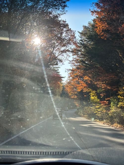 寒さ耐えた 朝霧ジャンボリー オートキャンプ場 ファミリーキャンプ オートサイト no-tenkiさんのキャンプブログ CAMPiii（キャンピー） -キャンプ専用SNS キャンプのすべてがここに集まる-