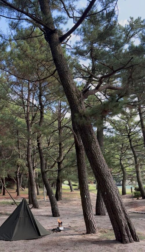 海音（波の音）&times;焚き火 大神子海岸 ソロキャンプ フリーサイト Camp 'n'g  Roll♪🏁さんのキャンプブログ CAMPiii（キャンピー） -キャンプ専用SNS キャンプのすべてがここに集まる-