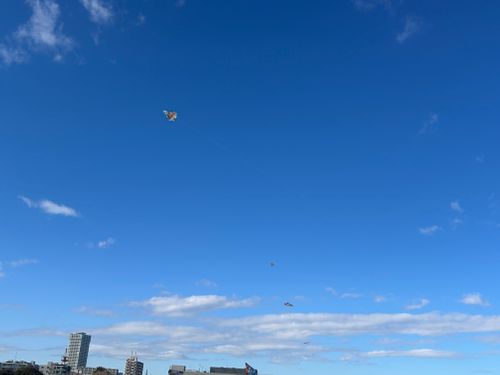 タープ忘れのチェアリング うみかぜ公園 ソロキャンプ フリーサイト Genさんのキャンプブログ CAMPiii（キャンピー） -キャンプ専用SNS キャンプのすべてがここに集まる-