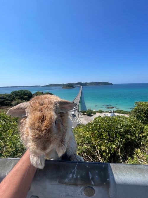 夏キャンプもそろそろ終わり？お盆明けのまた〜りおじ🐰キャン△ in 阿川ほうせんぐり海浜公園 〜 CAMP NO.208 阿川ほうせんぐり海浜公園 ソロキャンプ ファミリーキャンプ フリーサイト おじキャン△さんのキャンプブログ CAMPiii（キャンピー） -キャンプ専用SNS キャンプのすべてがここに集まる-