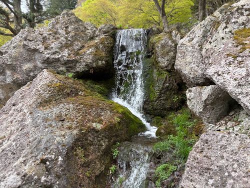 今年の桜は早かったキャンプ たびのCAMPING BASE 天守閣自然公園オートキャンプ場 ソロキャンプ 区画サイト やまなかさんのキャンプブログ CAMPiii（キャンピー） -キャンプ専用SNS キャンプのすべてがここに集まる-