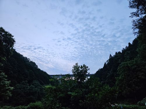 1年越しのホタルキャンプ ソロキャンプ 区画サイト 三代目とっしぃさんのキャンプブログ CAMPiii（キャンピー） -キャンプ専用SNS キャンプのすべてがここに集まる-