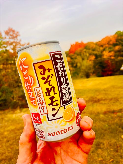 秋のエヴァ祭り？おじおばうさキャン△ in 江汐公園キャンプ場 〜 CAMP NO.166 江汐公園 ファミリーキャンプ グループキャンプ 区画サイト おじキャン△さんのキャンプブログ CAMPiii（キャンピー） -キャンプ専用SNS キャンプのすべてがここに集まる-