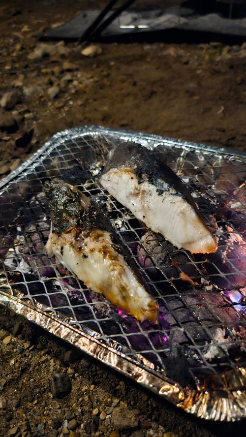 その後 日本 ソロキャンプ グループキャンプ 区画サイト フリーサイト オートサイト IZUIZUさんのキャンプブログ CAMPiii（キャンピー） -キャンプ専用SNS キャンプのすべてがここに集まる-