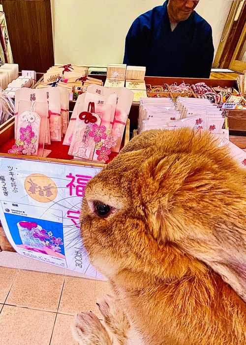 『笑門来福』笑って過ごそう♫福笑いおじおばうさキャン△ in ONDCAMP 〜 CAMP NO.179 OND CAMP ファミリーキャンプ グループキャンプ フリーサイト おじキャン△さんのキャンプブログ CAMPiii（キャンピー） -キャンプ専用SNS キャンプのすべてがここに集まる-