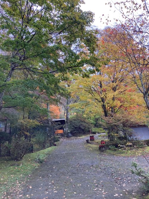 Vol.105 25/NO.24 笛吹小屋キャンプ場〜中津峡〜〆ホルモン屋‼️ 笛吹小屋キャンプ場 ソロキャンプ 区画サイト 🔥焚き火🔥さんのキャンプブログ CAMPiii(キャンピー) -キャンプ専用SNS キャンプのすべてがここに集まる-