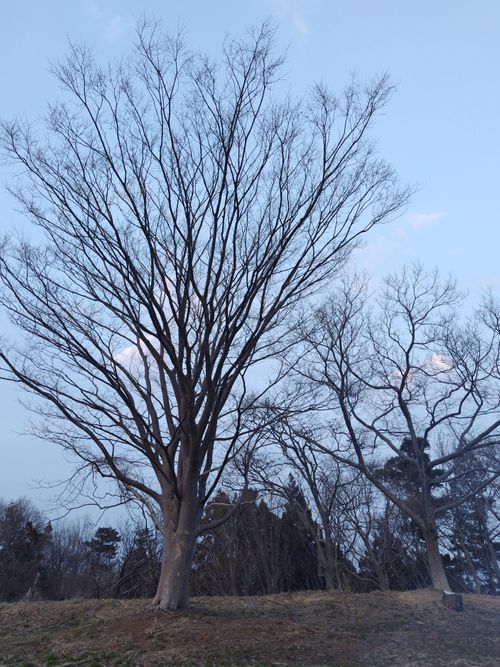 CAMPiii（キャンピー） セツさんのキャンプブログ 広〜い！私の中では、ふもとっぱらキャンプ場でした ごちキャンプ場